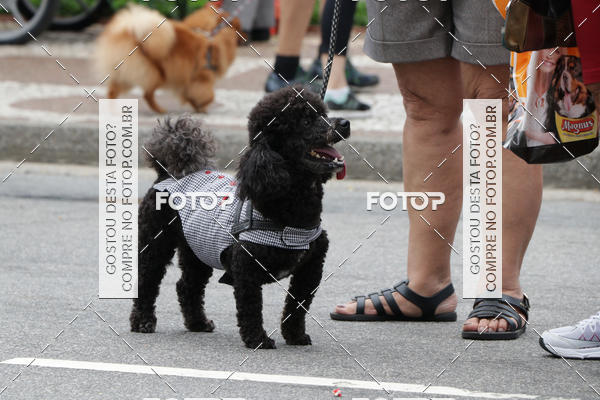 Buy your photos of the event13� C�ominhada - Santos on Fotop