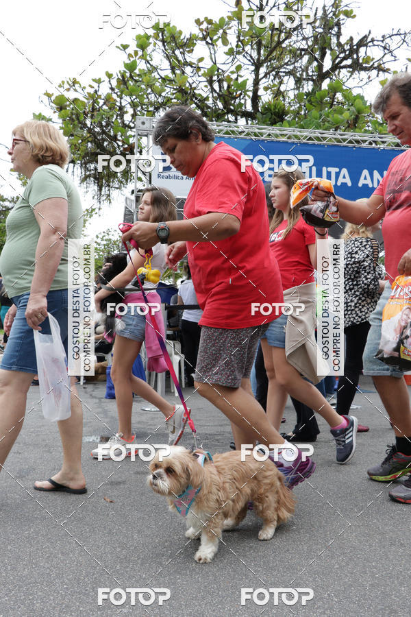 Buy your photos of the event13� C�ominhada - Santos on Fotop