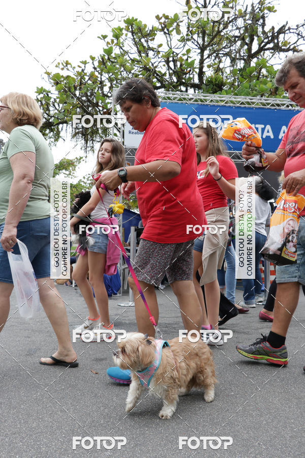 Buy your photos of the event13� C�ominhada - Santos on Fotop