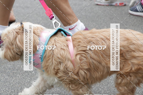 Buy your photos of the event13� C�ominhada - Santos on Fotop