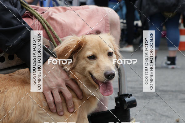 Buy your photos of the event13� C�ominhada - Santos on Fotop