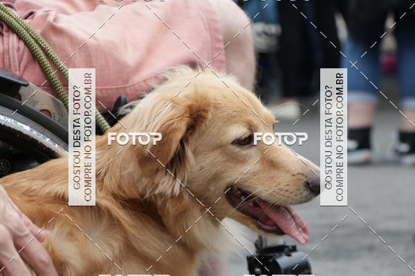 Buy your photos of the event13� C�ominhada - Santos on Fotop