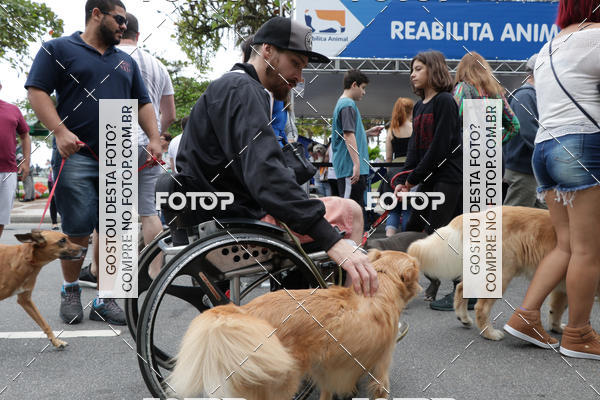 Buy your photos of the event13� C�ominhada - Santos on Fotop