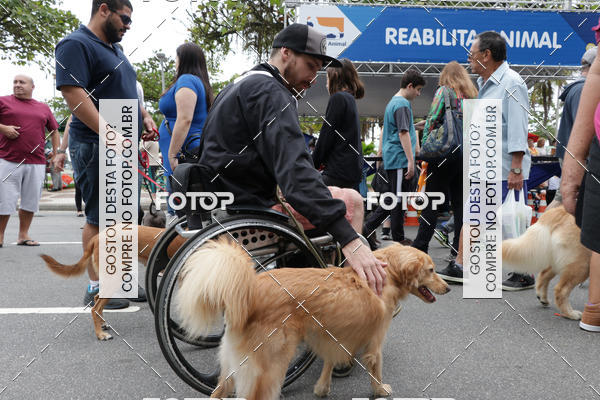 Buy your photos of the event13� C�ominhada - Santos on Fotop