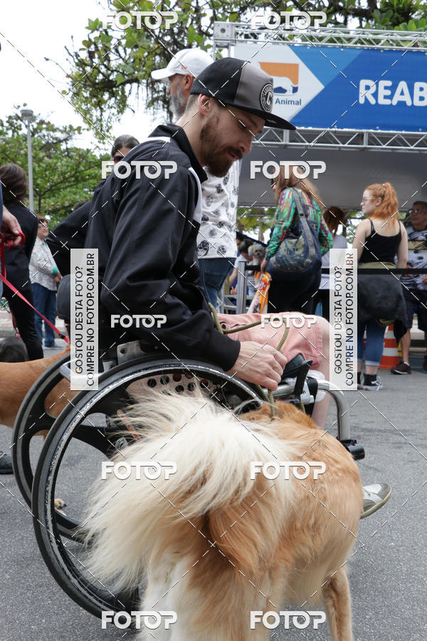 Buy your photos of the event13� C�ominhada - Santos on Fotop