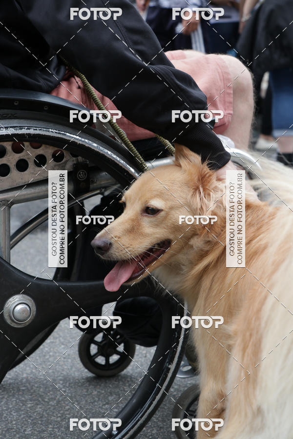 Buy your photos of the event13� C�ominhada - Santos on Fotop