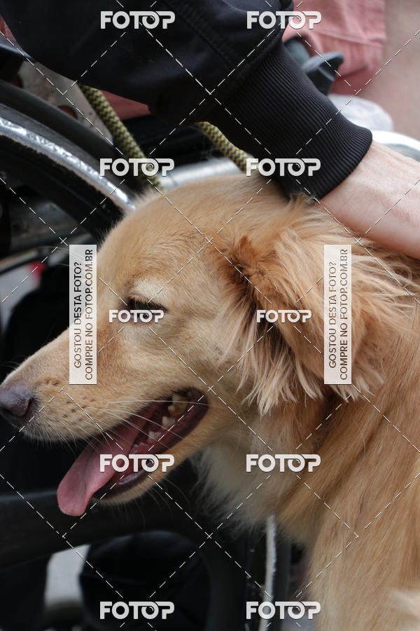 Buy your photos of the event13� C�ominhada - Santos on Fotop