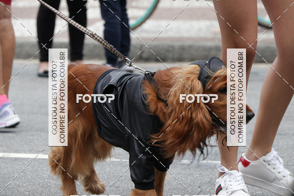 Buy your photos of the event13� C�ominhada - Santos on Fotop