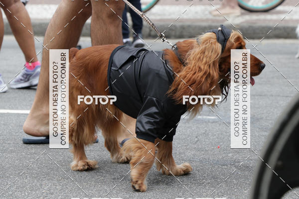 Buy your photos of the event13� C�ominhada - Santos on Fotop