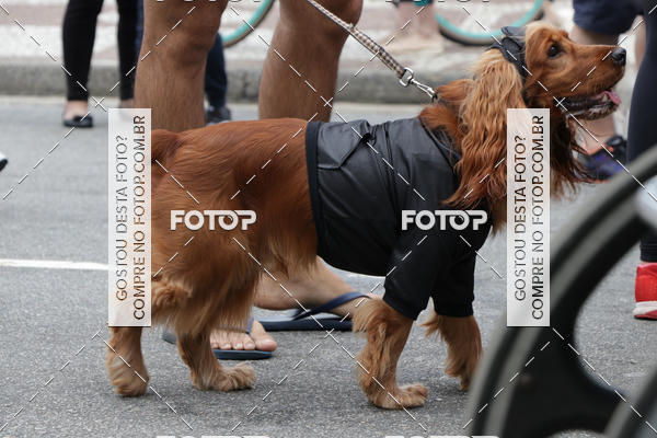 Buy your photos of the event13� C�ominhada - Santos on Fotop