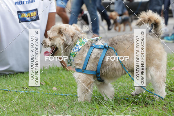 Buy your photos of the event13� C�ominhada - Santos on Fotop
