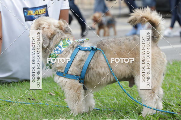 Buy your photos of the event13� C�ominhada - Santos on Fotop