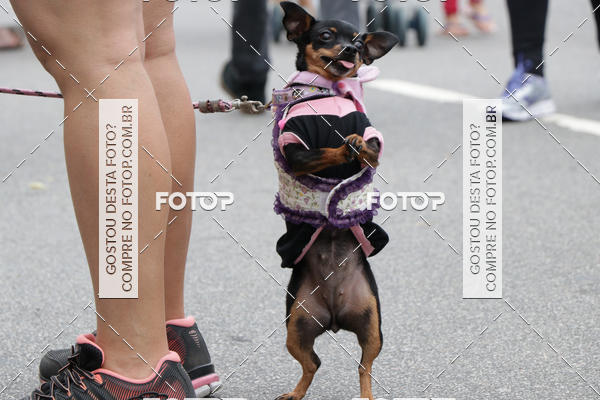 Buy your photos of the event13� C�ominhada - Santos on Fotop