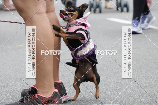 Buy your photos of the event13� C�ominhada - Santos on Fotop