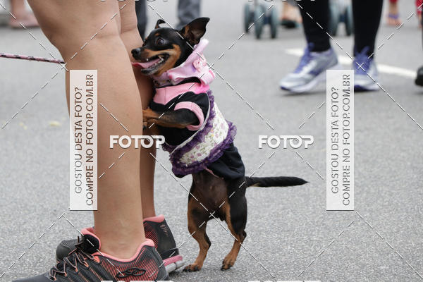 Buy your photos of the event13� C�ominhada - Santos on Fotop