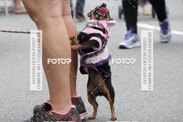 Buy your photos of the event13� C�ominhada - Santos on Fotop