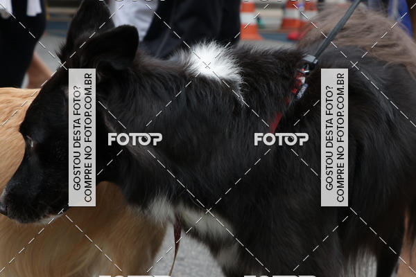 Buy your photos of the event13� C�ominhada - Santos on Fotop