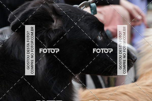 Buy your photos of the event13� C�ominhada - Santos on Fotop