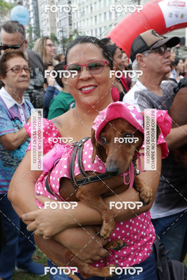 Buy your photos of the event13� C�ominhada - Santos on Fotop