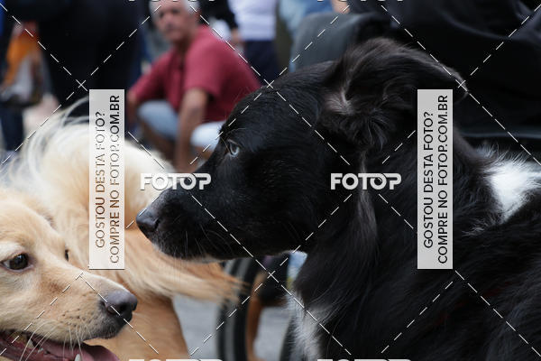 Buy your photos of the event13� C�ominhada - Santos on Fotop