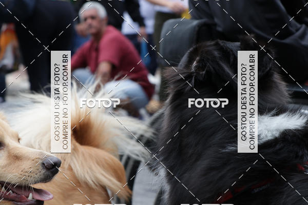 Buy your photos of the event13� C�ominhada - Santos on Fotop