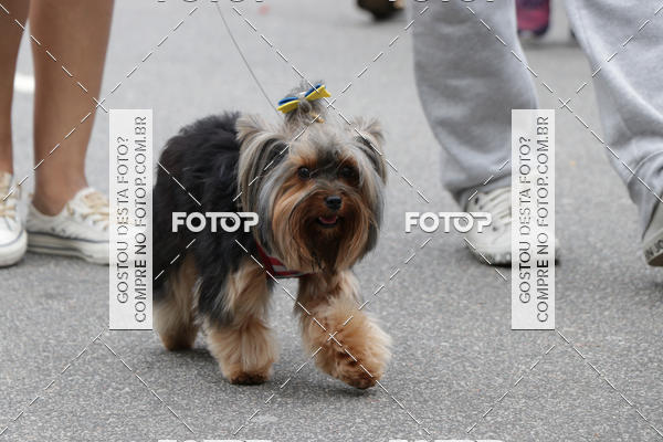Buy your photos of the event13� C�ominhada - Santos on Fotop