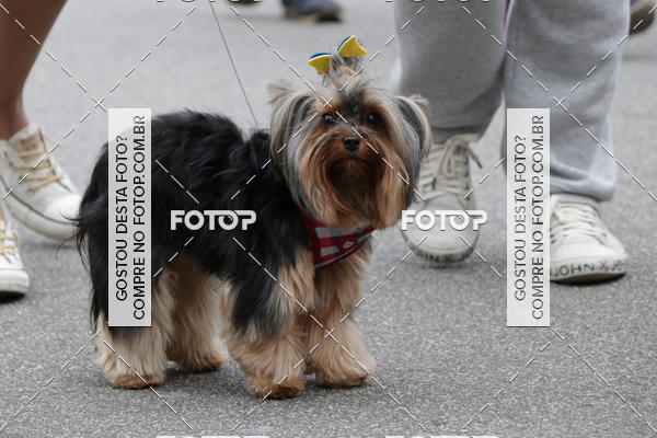 Buy your photos of the event13� C�ominhada - Santos on Fotop