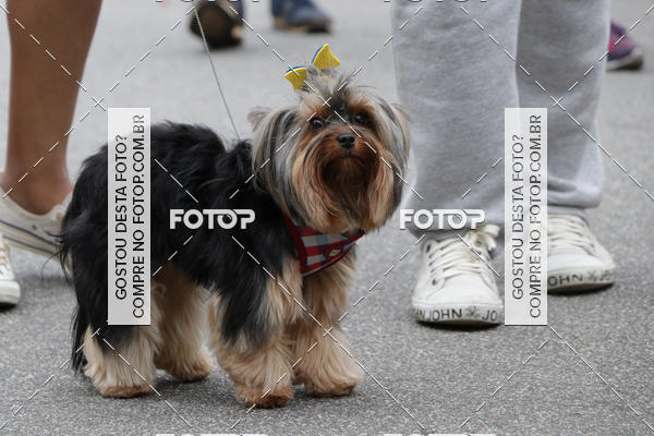 Buy your photos of the event13� C�ominhada - Santos on Fotop
