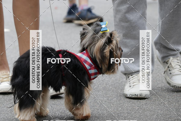 Buy your photos of the event13� C�ominhada - Santos on Fotop