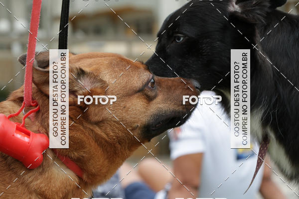 Buy your photos of the event13� C�ominhada - Santos on Fotop