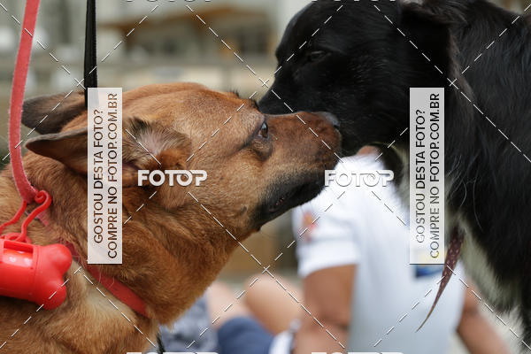 Buy your photos of the event13� C�ominhada - Santos on Fotop