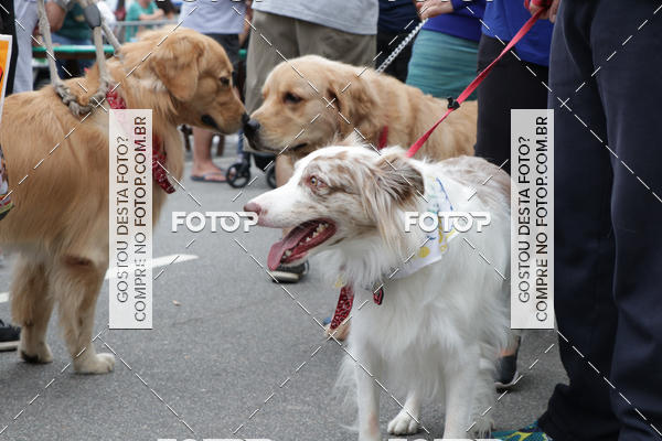 Buy your photos of the event13� C�ominhada - Santos on Fotop