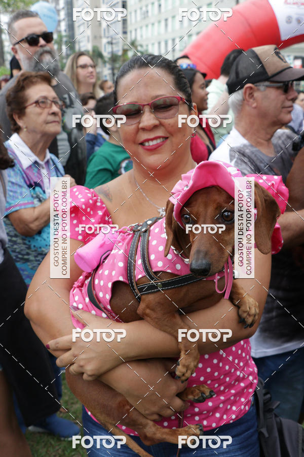 Buy your photos of the event13� C�ominhada - Santos on Fotop