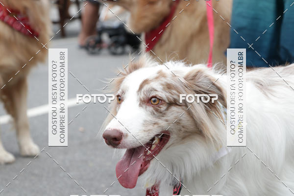 Buy your photos of the event13� C�ominhada - Santos on Fotop