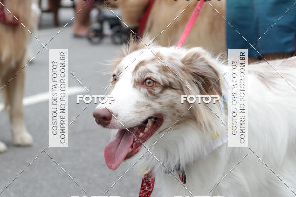 Buy your photos of the event13� C�ominhada - Santos on Fotop