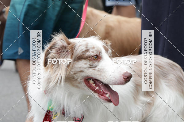 Buy your photos of the event13� C�ominhada - Santos on Fotop