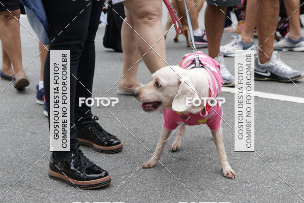 Buy your photos of the event13� C�ominhada - Santos on Fotop