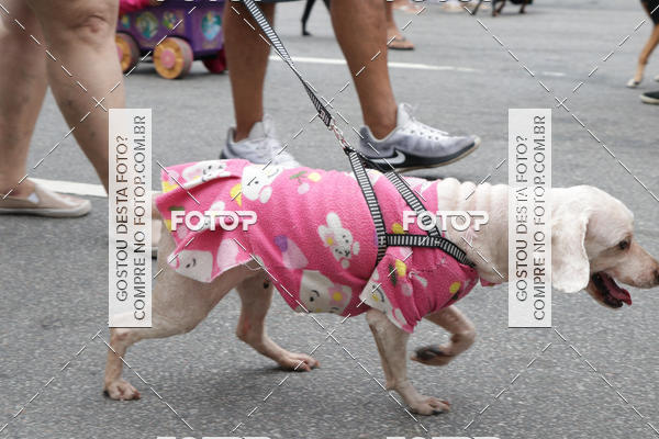 Buy your photos of the event13� C�ominhada - Santos on Fotop