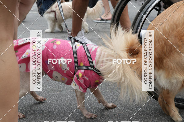 Buy your photos of the event13� C�ominhada - Santos on Fotop