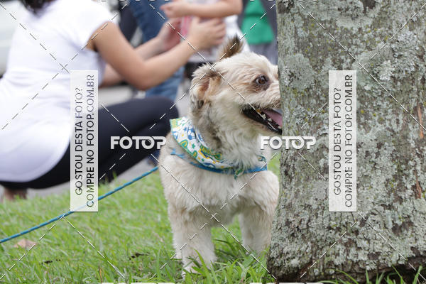 Buy your photos of the event13� C�ominhada - Santos on Fotop