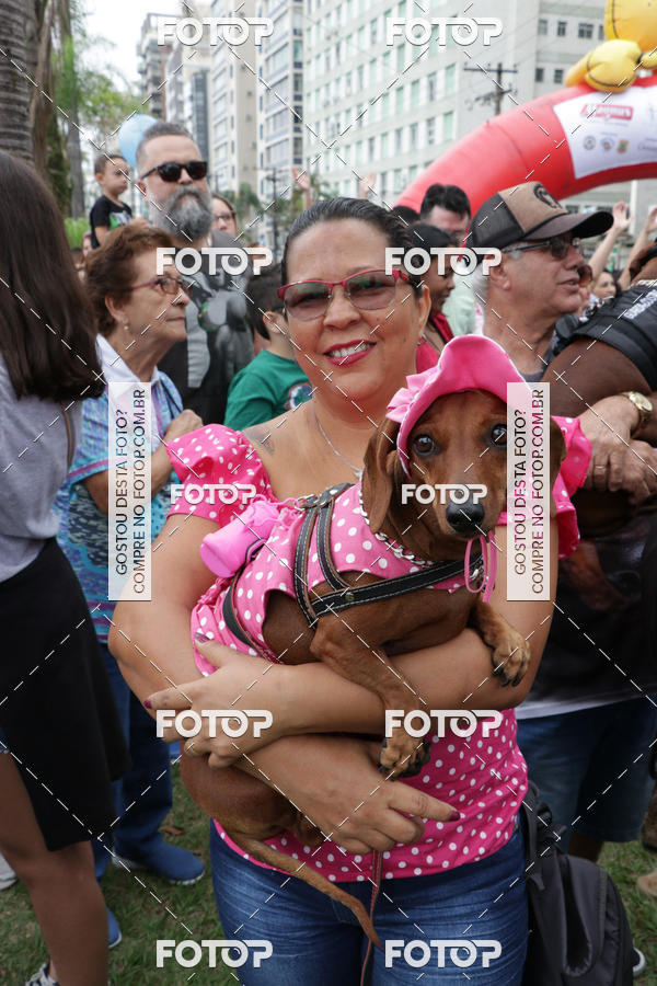 Buy your photos of the event13� C�ominhada - Santos on Fotop