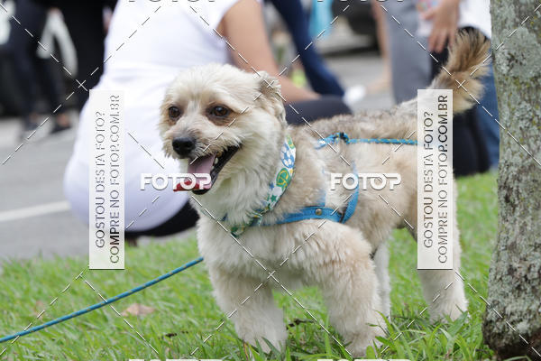 Buy your photos of the event13� C�ominhada - Santos on Fotop