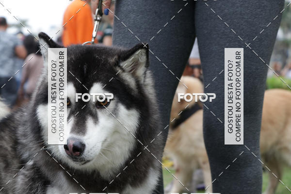 Buy your photos of the event13� C�ominhada - Santos on Fotop