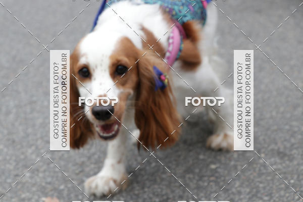 Buy your photos of the event13� C�ominhada - Santos on Fotop