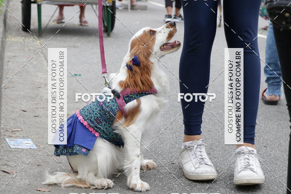 Buy your photos of the event13� C�ominhada - Santos on Fotop