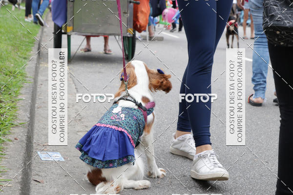 Buy your photos of the event13� C�ominhada - Santos on Fotop