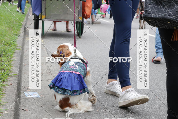 Buy your photos of the event13� C�ominhada - Santos on Fotop