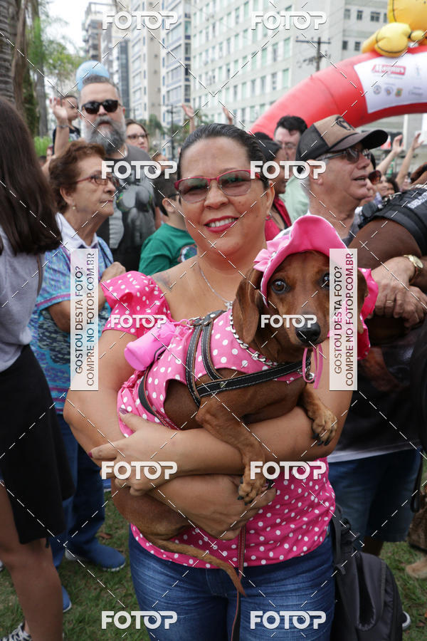 Buy your photos of the event13� C�ominhada - Santos on Fotop