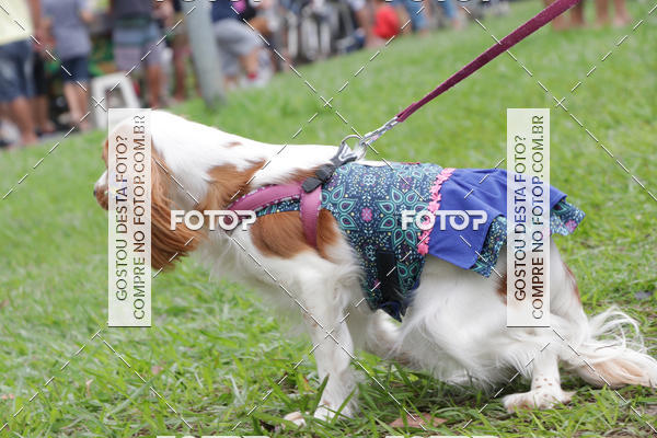 Buy your photos of the event13� C�ominhada - Santos on Fotop