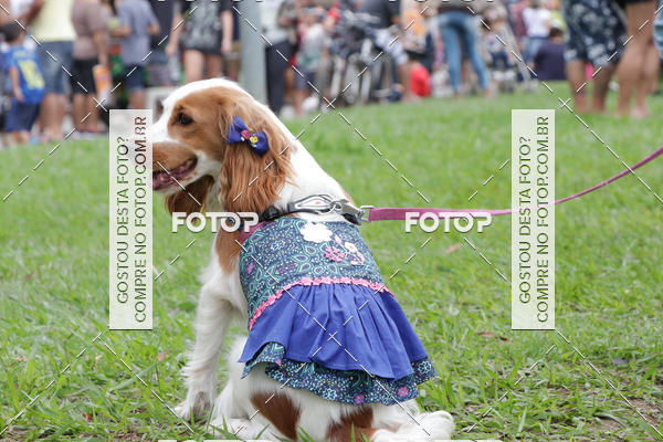 Buy your photos of the event13� C�ominhada - Santos on Fotop